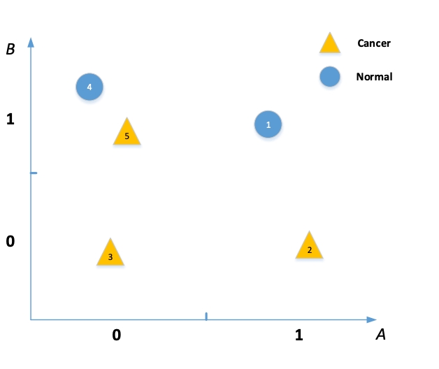 image-20240409005836419